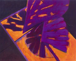 Ventana violeta2